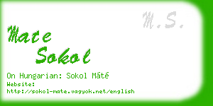 mate sokol business card